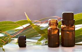 eucalyptus oil