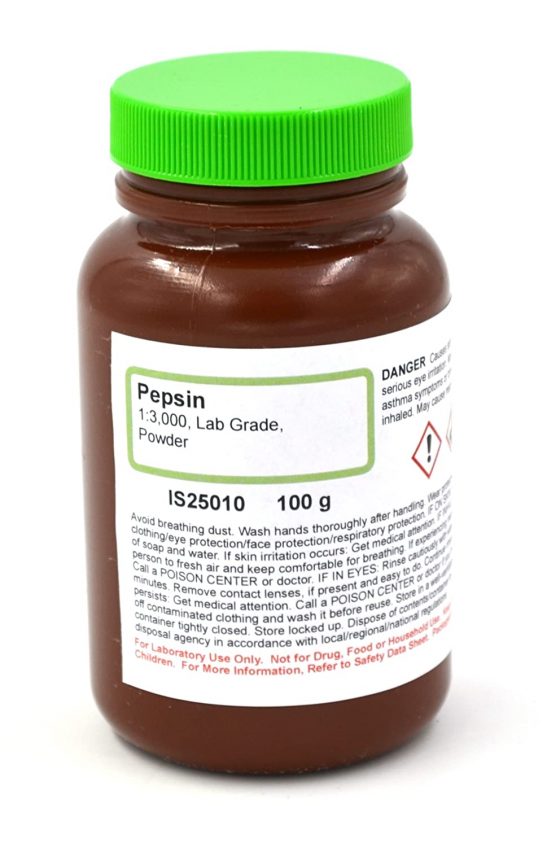 pepsin