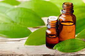 Cinnamon Leaf Essential Oil