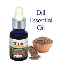 Dill Essential Oil