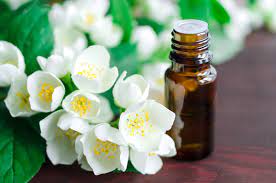 Jasmin Essential Oil