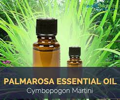 Palma Rosa Essential Oil