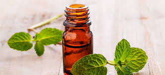 Peppermint Essential Oil