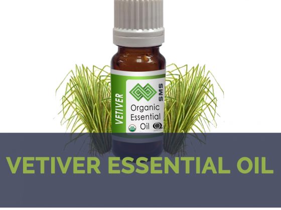 Vetiver-Essential-oil-facts-and-health-beneftts