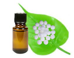 camphor essential oil