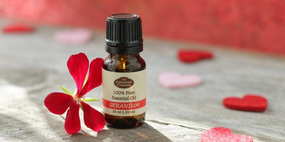 Geranium Essential Oil