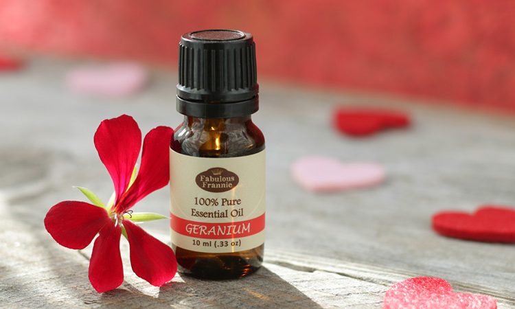 Geranium Essential Oil