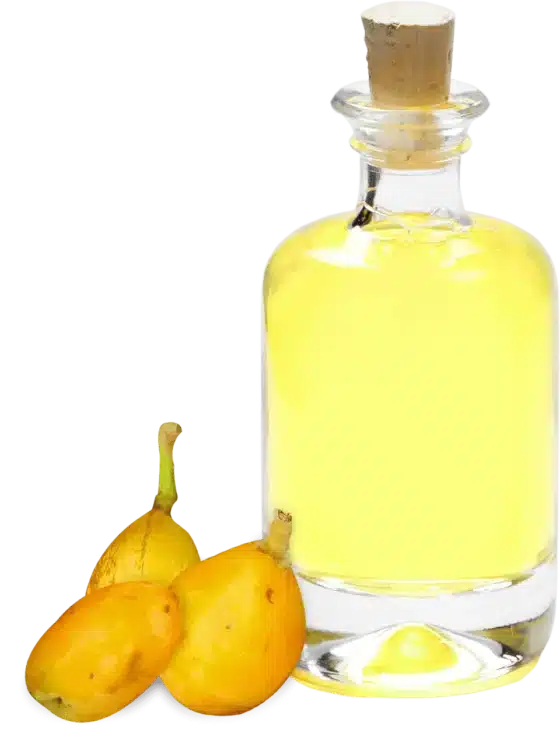 Marula Oil Organic - Sclerocarya Birrea Seed Oil supplier