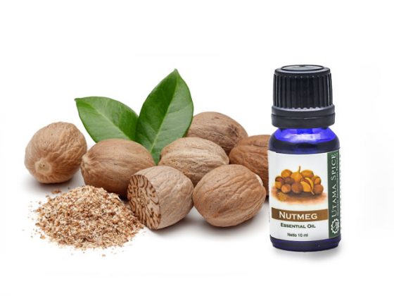 nutmeg essential oil