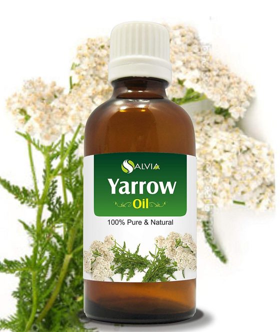 yarrow essential oil