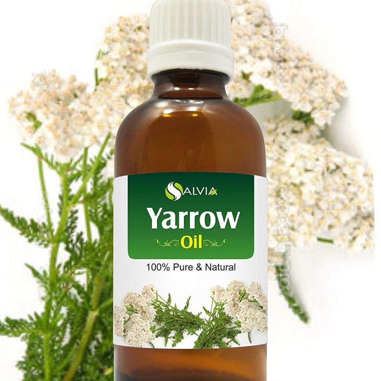 yarrow essential oil