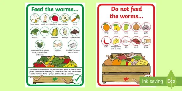 Bio-Eco Display Box (Wormery/Seed Germination)