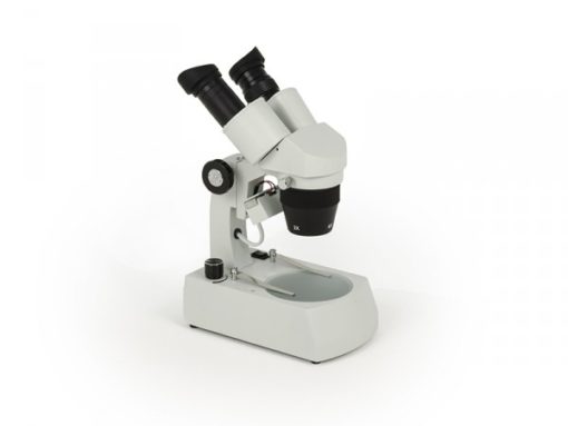 Microscope Stereo microscope