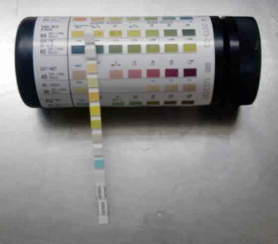 Urine Strips 2 Parameter - Glucose / Protein