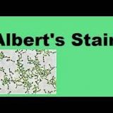 Albert's Stain B(Albert's Iodine)