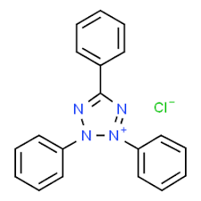 Triphenyltetrazolium Chloride 5Lt