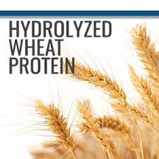 Hydrolysed Wheat Protein Cosmetic Grade