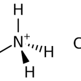 Ammonium Chloride Lysing Solution