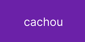 Cachou Flavour Powder 9354