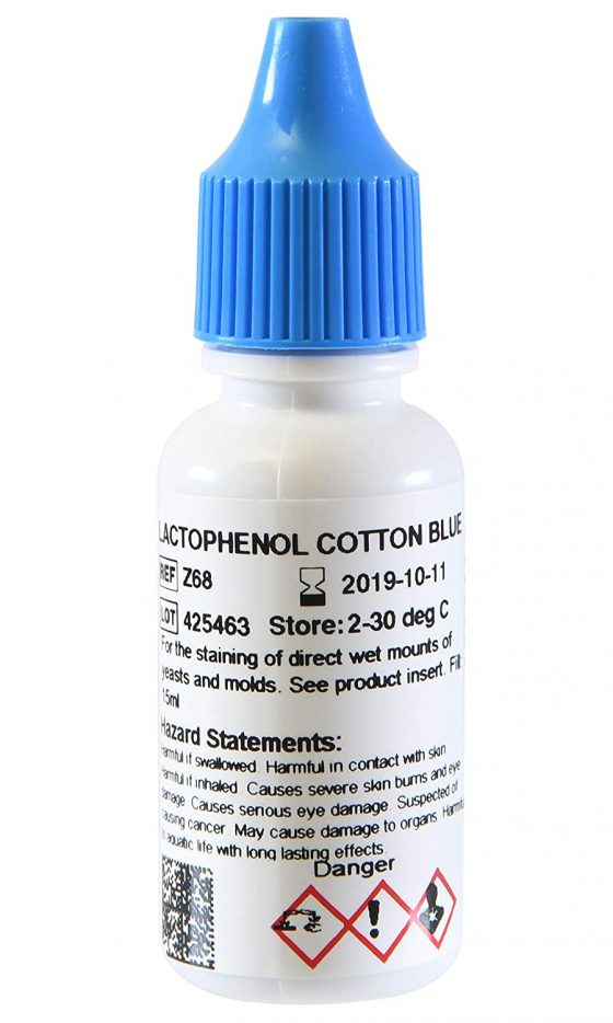 Lactophenol Cotton Blue (LPCB)