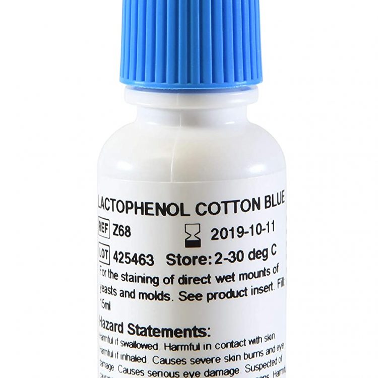 Lactophenol Cotton Blue (LPCB)