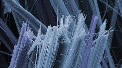 Asbestos Fibres